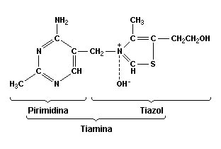 estrutura molecular da tiamina