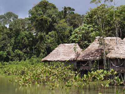 Floresta tropical é rica em biodiversidade